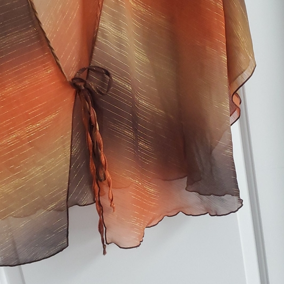 Wet seal sheer top Tie front brown,orange gold - Picture 2 of 6